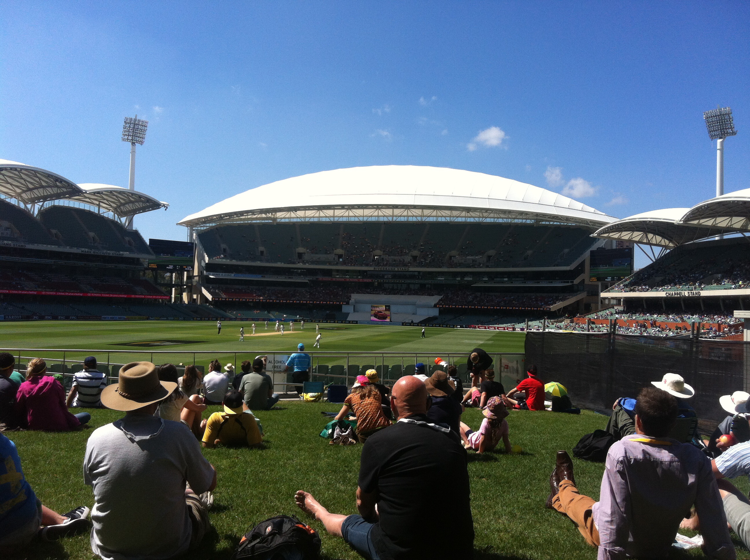 Where to Sit: Adelaide Oval — The Hill vs. The Reserve